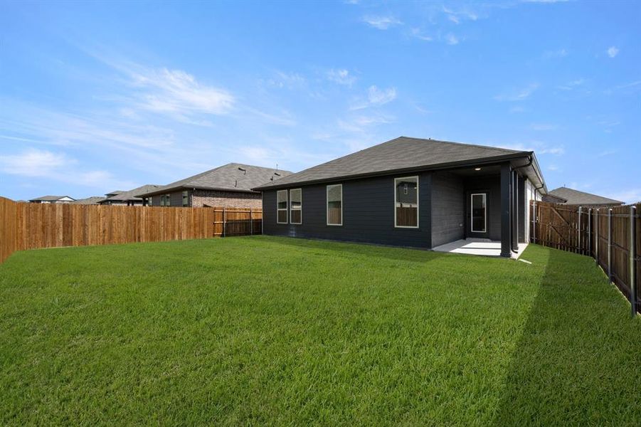 3132 Areca- Back-1 3132 Areca- Back-1