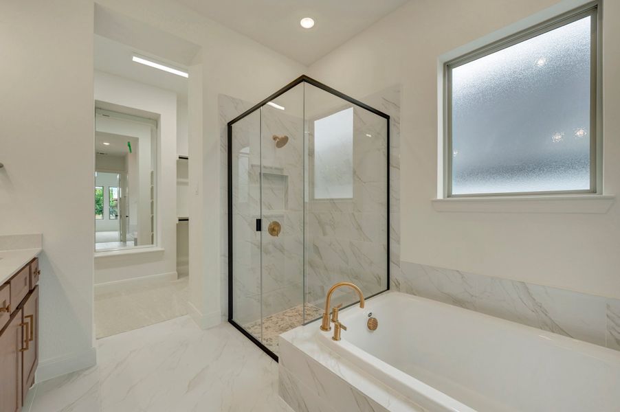 Owner's Bath