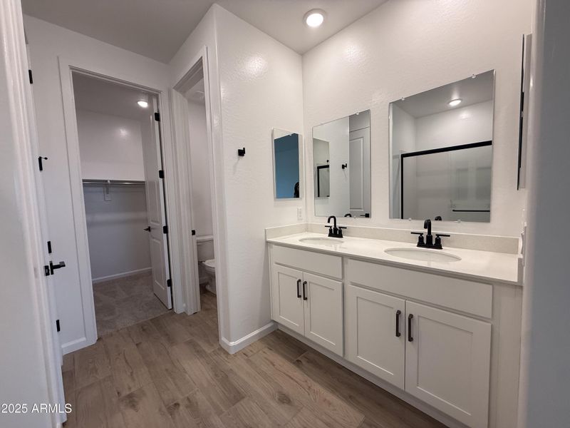 17.primarybath 17.primarybath