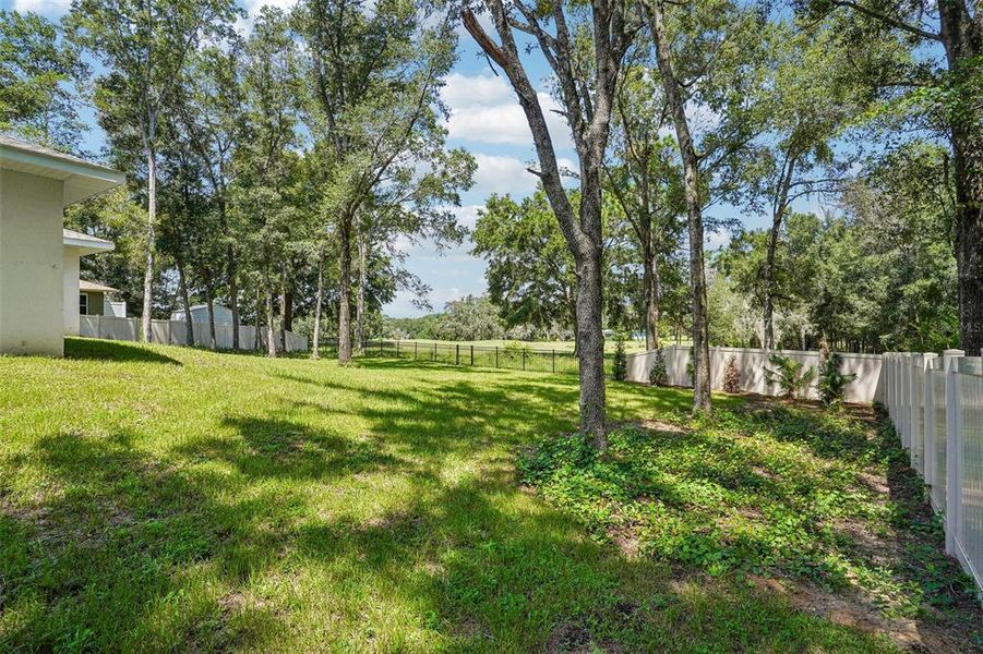 Natural landscape and outdoor views near  in Citrus Springs (Image 49).