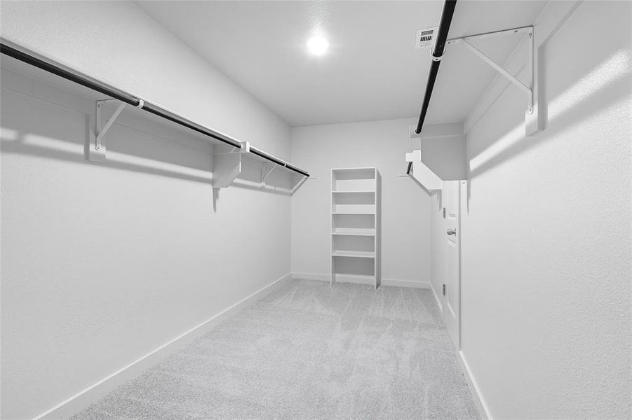 Walk in closet with light carpet