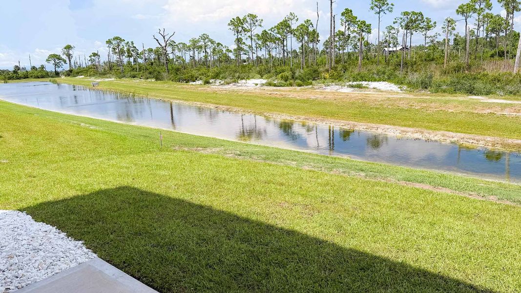 Natural landscape and outdoor views near WindMark Beach in Port Saint Joe (Image 36).