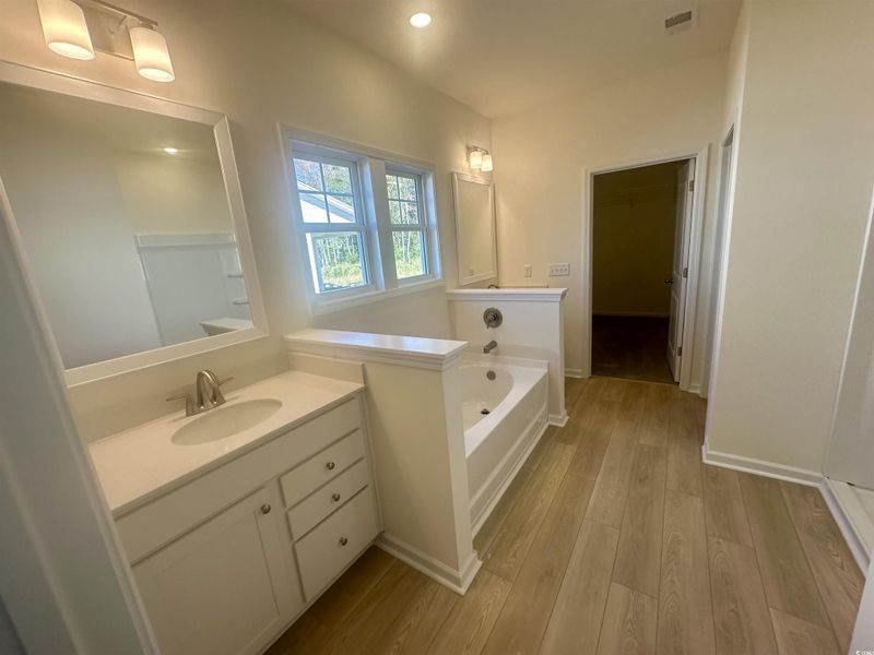 Bathroom featuring a spacious closet, vanity, a bath, light wood-style flooring, and recessed lighting Bathroom featuring a spacious closet, vanity, a bath, light wood-style flooring, and recessed lighting