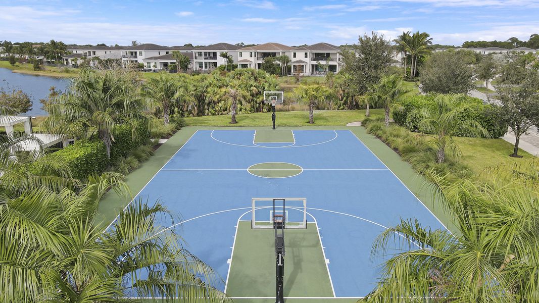 Basketball Court Basketball Court