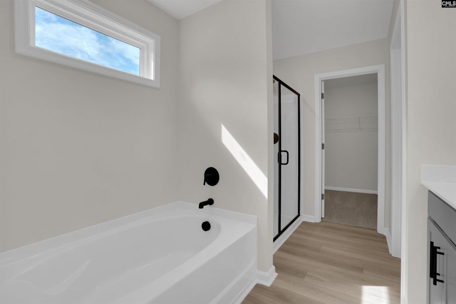 Furnished interior view inside a new home in Rolling Hills, Prosperity (Image 9).