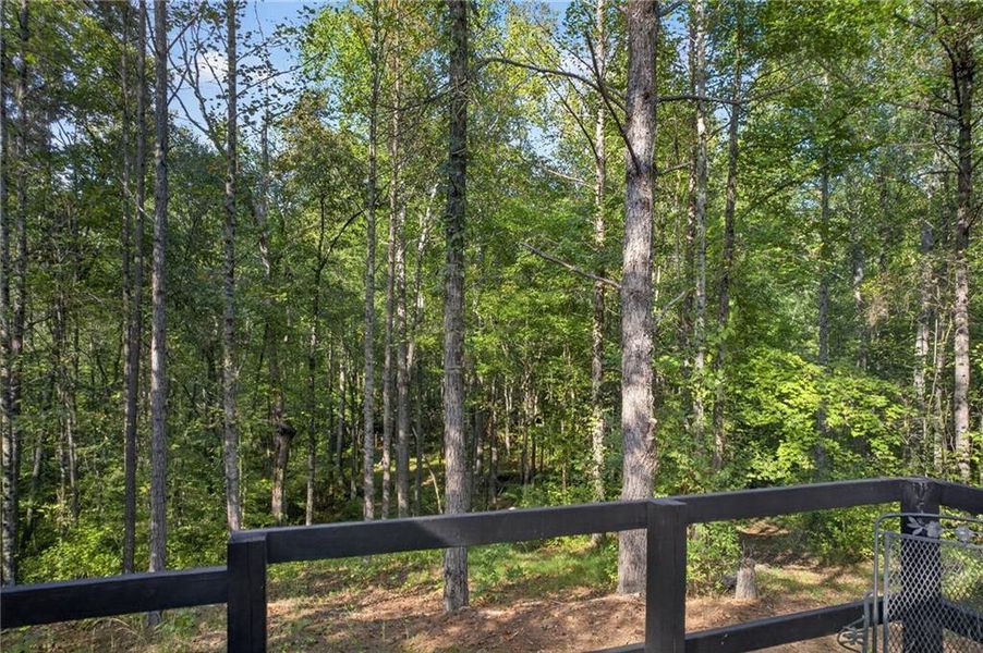 Natural landscape and outdoor views near  in Rockmart (Image 33).