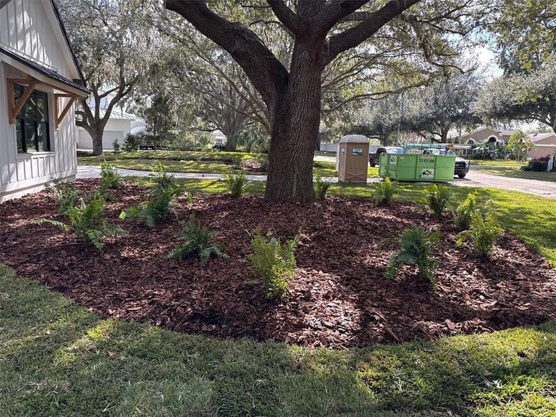 Natural landscape and outdoor views near  in Odessa (Image 9).