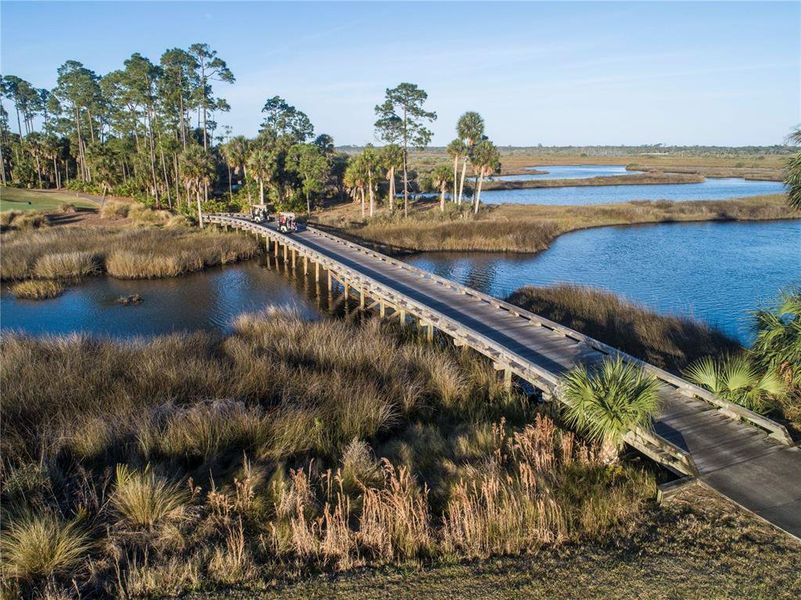 Natural landscape and outdoor views near  in Palm Coast (Image 53).