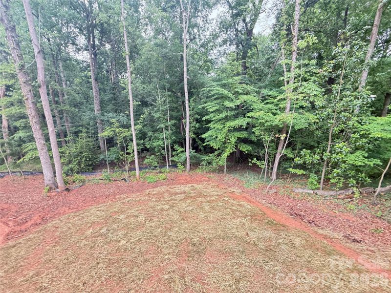 Natural landscape and outdoor views near in Troutman (Image 16). Natural landscape and outdoor views near in Troutman (Image 16).