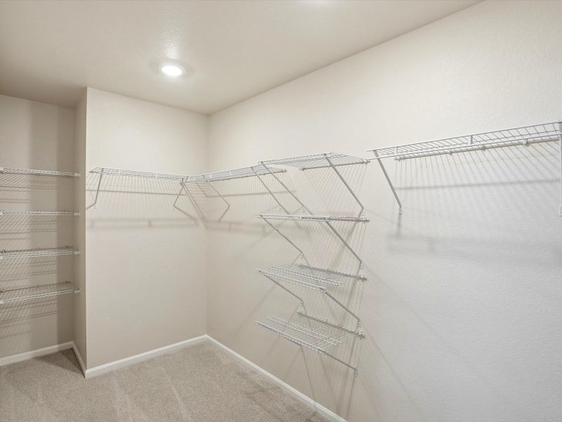 Spacious, unfurnished interior of a new home in Poudre Heights: The Lakes Collection, Windsor (Image 13).