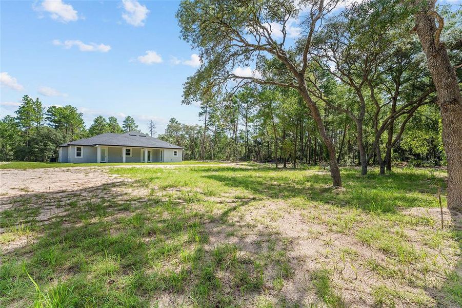 Natural landscape and outdoor views near in Ocala (Image 43). Natural landscape and outdoor views near in Ocala (Image 43).