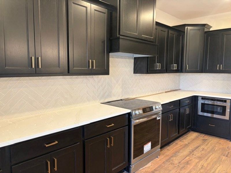 Furnished interior view inside a new home in Blackwelder Bluff, Bowdon (Image 3).