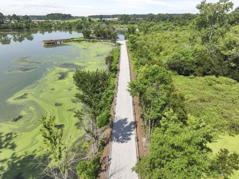 Natural landscape and outdoor views near Carolina Groves in Moncks Corner (Image 27).