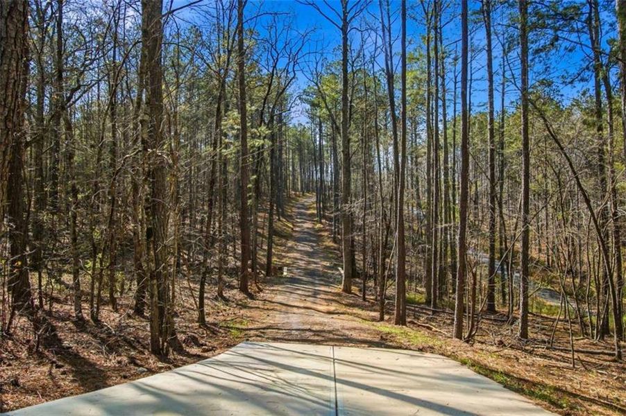 Natural landscape and outdoor views near  in Winston (Image 60).