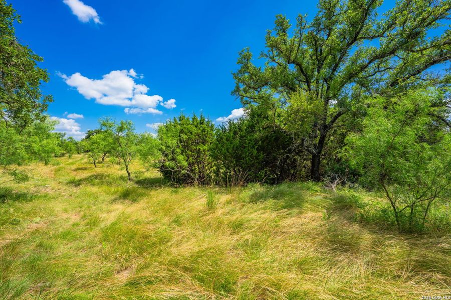 Natural landscape and outdoor views near in Menard (Image 24). Natural landscape and outdoor views near in Menard (Image 24).