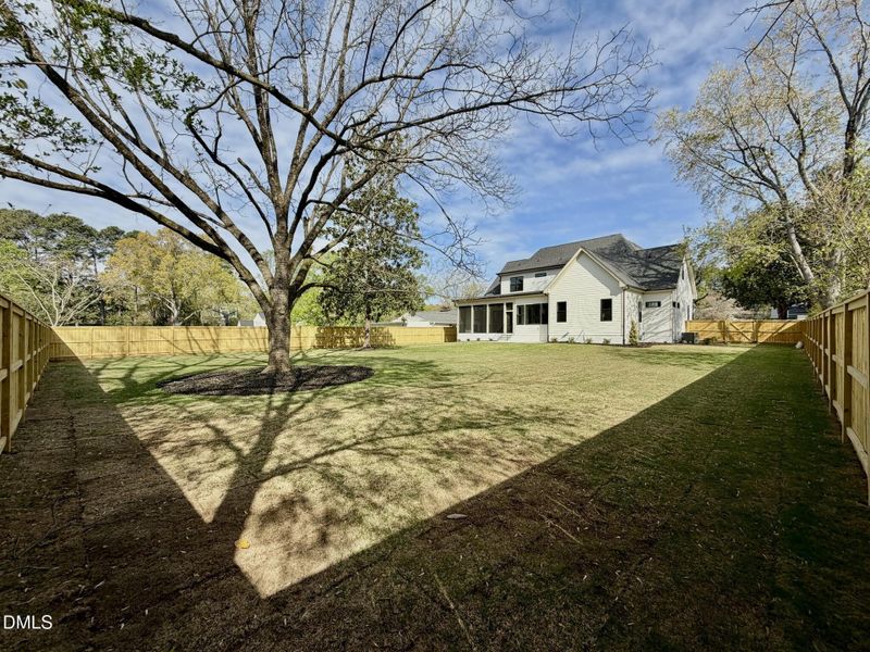 Backyard