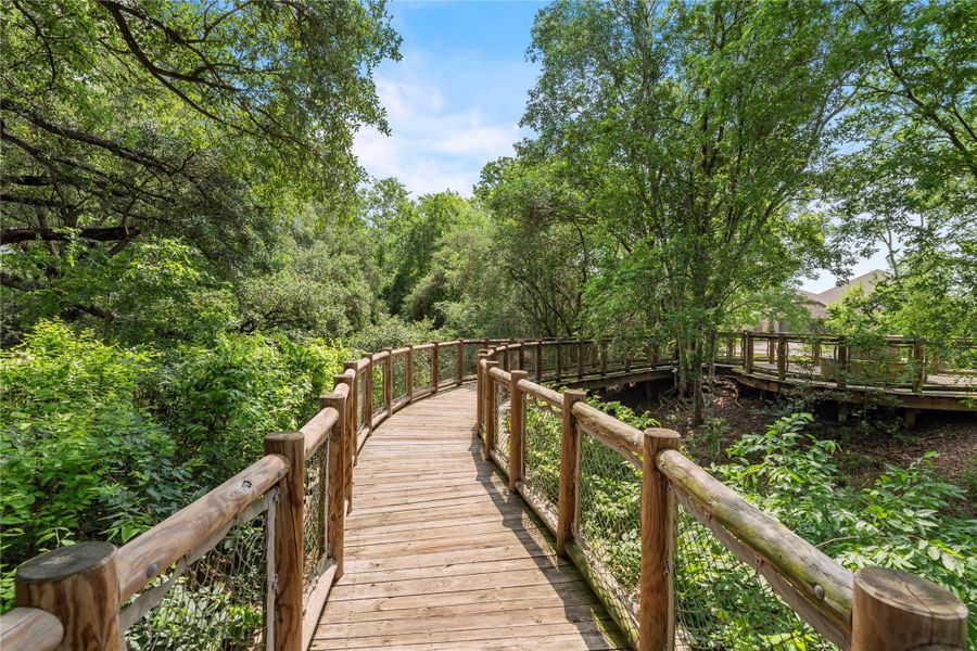 Let their imagination run wild along this winding wooden path, leading through the trees to the magical treehouse park where endless adventures await.