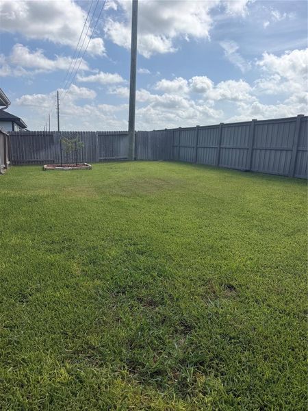 Spacious Backyard Spacious Backyard