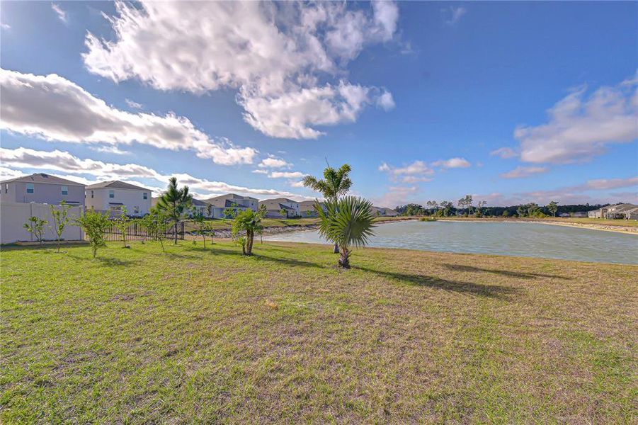 Natural landscape and outdoor views near in Zephyrhills (Image 71). Natural landscape and outdoor views near in Zephyrhills (Image 71).