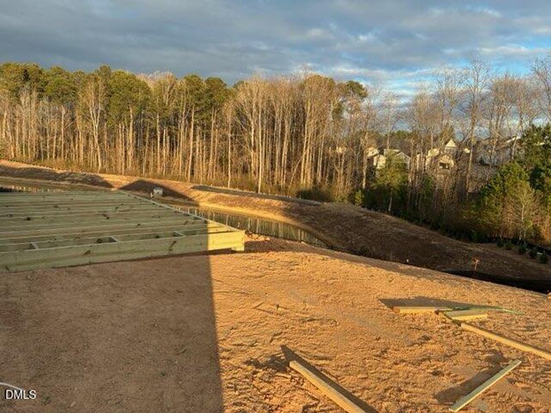 IMG_0102_Asya Lebeau