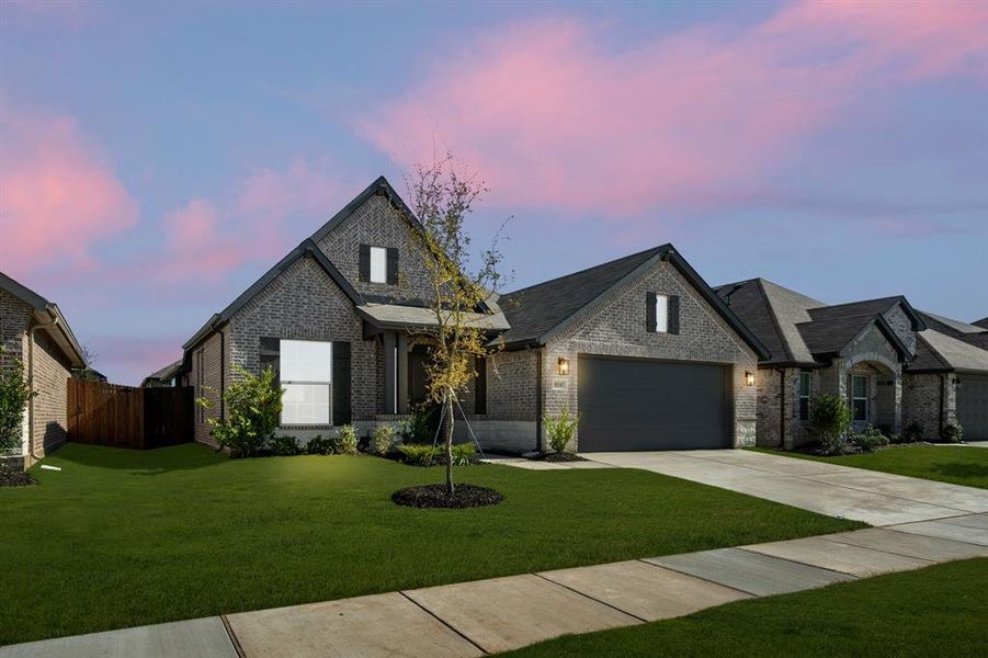 10345 Tapioca- twilight-2