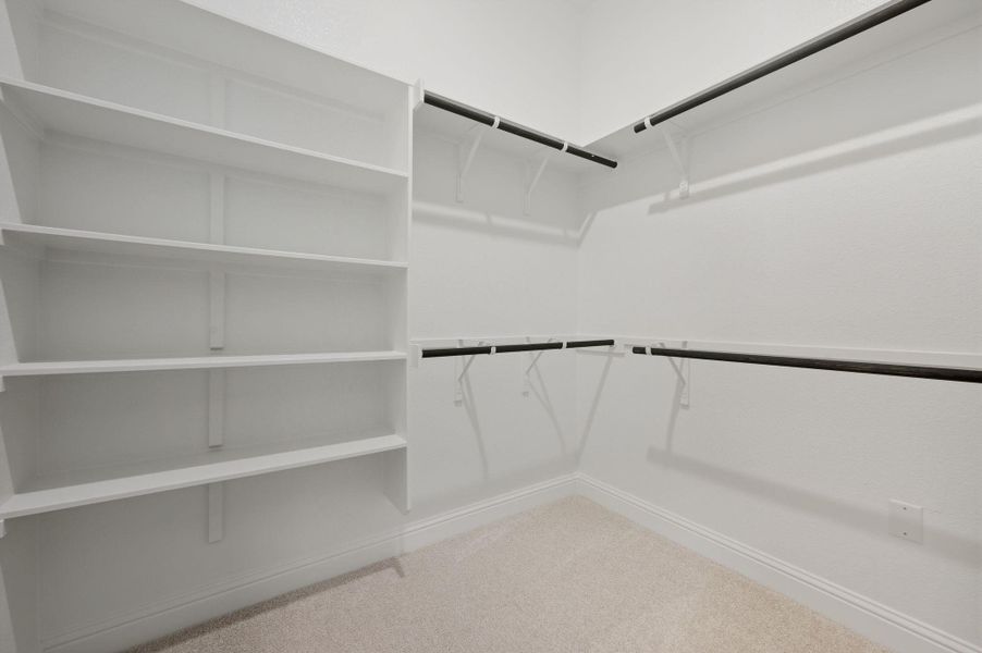 Spacious closet featuring light carpet