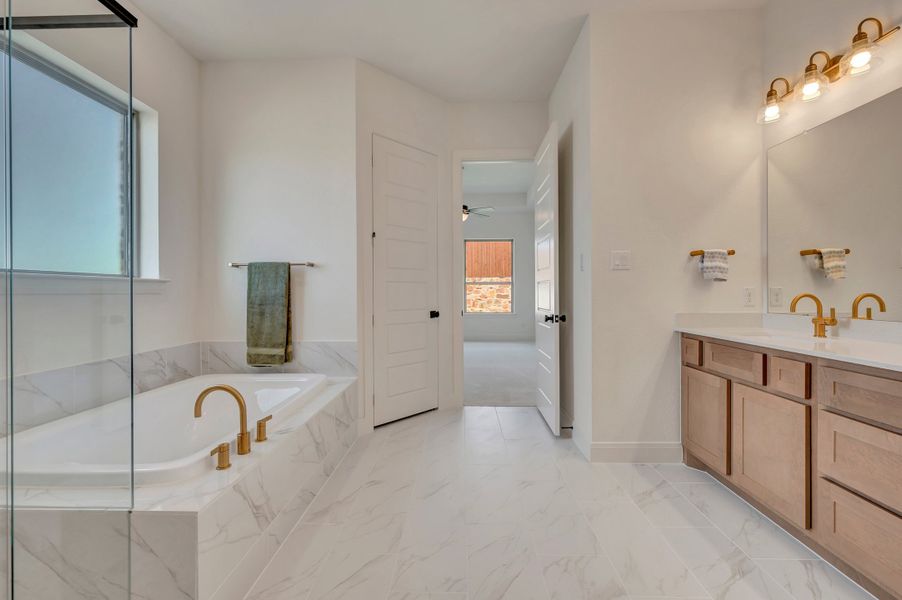 Owner's Bath