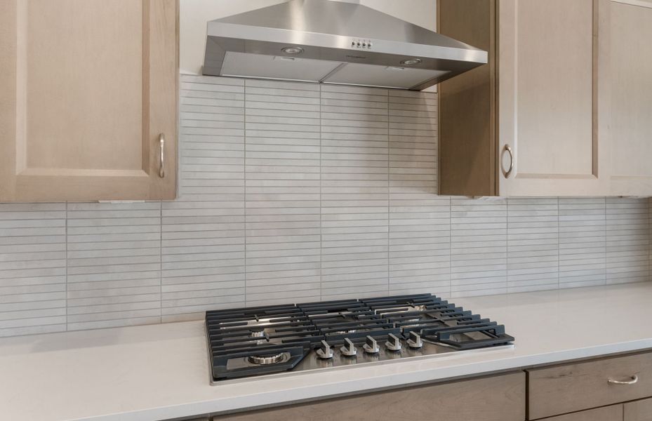 Close-up of interior finishes inside a home in Artisan at Asante, Surprise (Image 20).