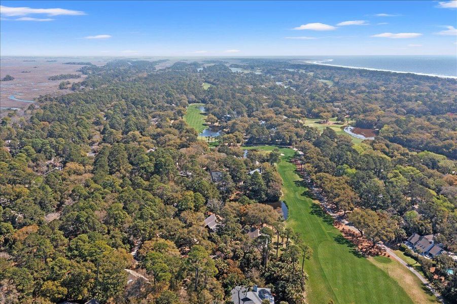 Natural landscape and outdoor views near  in Kiawah Island (Image 56).