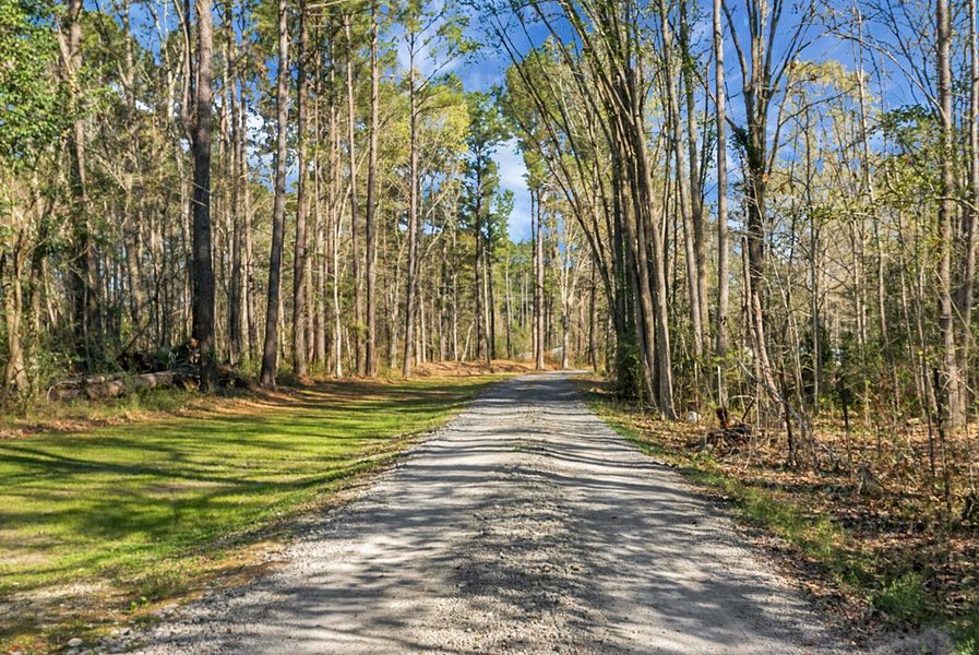 Natural landscape and outdoor views near  in Bonneau (Image 95).