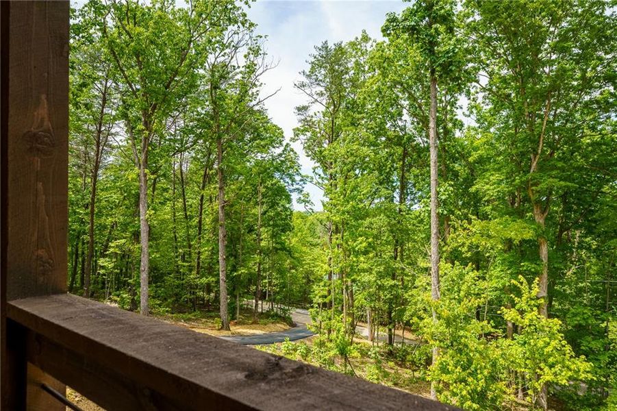 Natural landscape and outdoor views near  in Blue Ridge (Image 43).