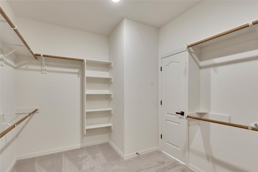 Walk in closet featuring light colored carpet
