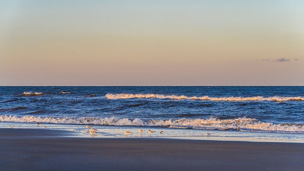 Natural landscape and outdoor views near Colbert Landings in Palm Coast (Image 74).