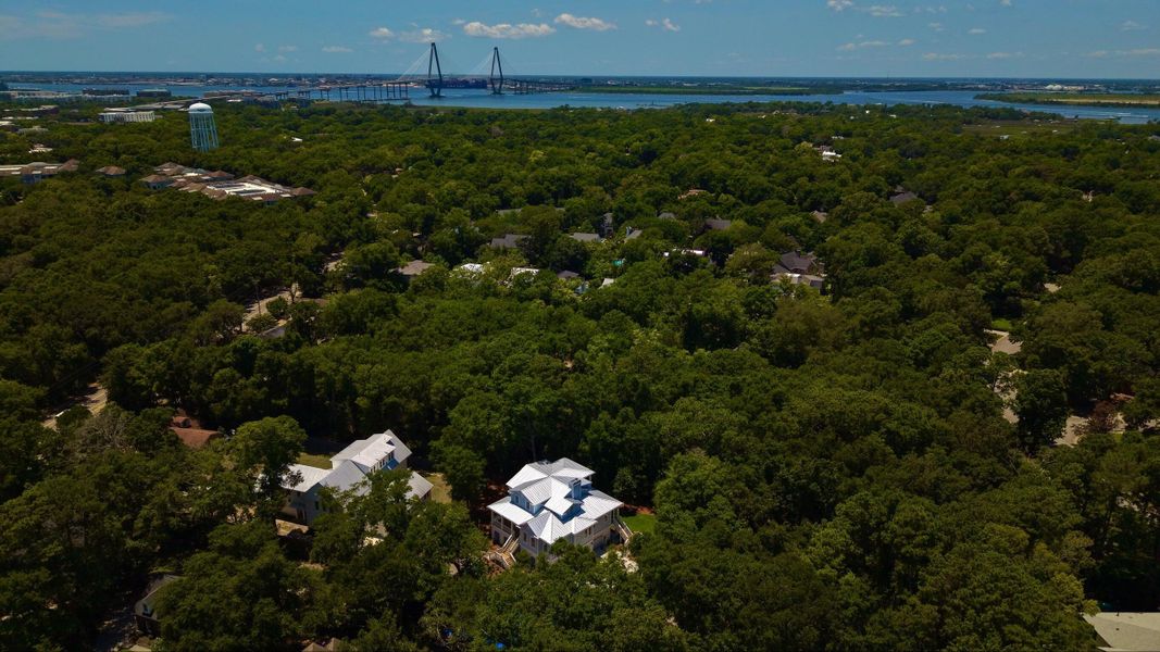 Natural landscape and outdoor views near  in Mount Pleasant (Image 74).
