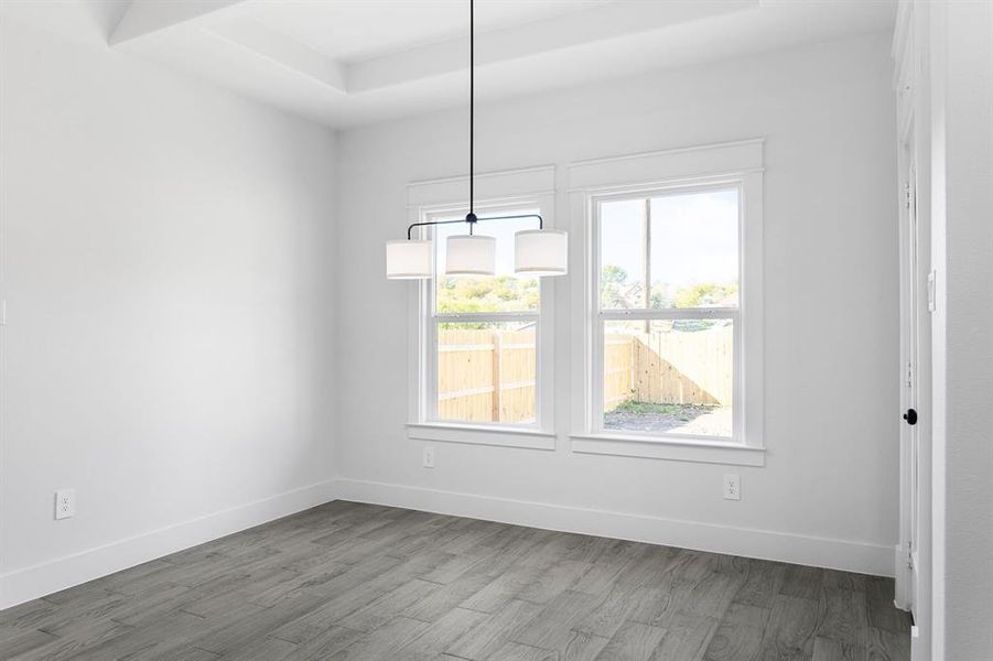 Unfurnished dining area with a tray ceiling, plenty of natural light, and hardwood / wood-style flooring