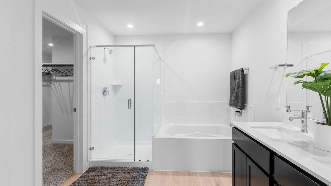 *Images and 3D tour are for illustration only and options may vary from home as built.