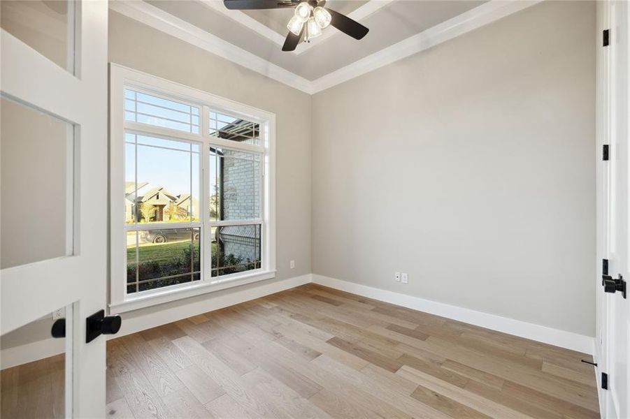 Empty room with ceiling fan, ornamental molding, and light hardwood / wood-style flooring