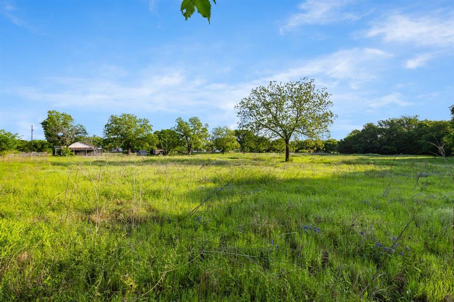 Natural landscape and outdoor views near  in Sunset (Image 14).