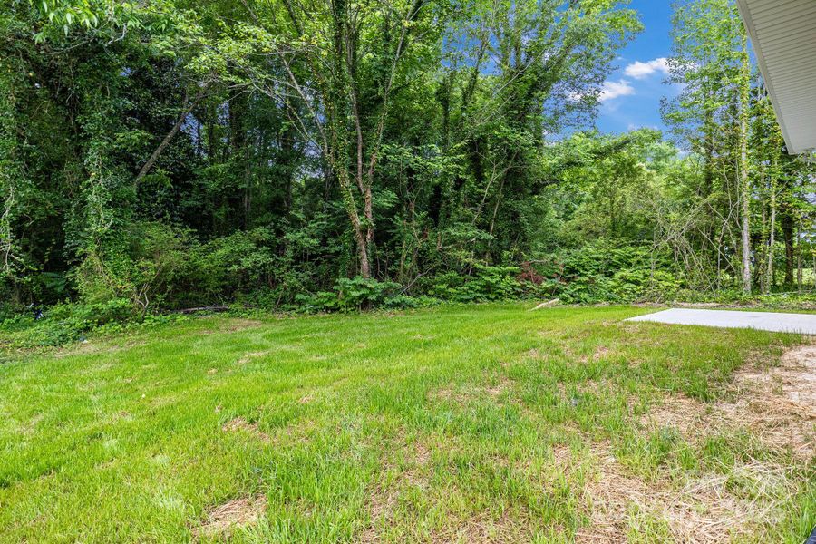 Natural landscape and outdoor views near  in Kannapolis (Image 23).