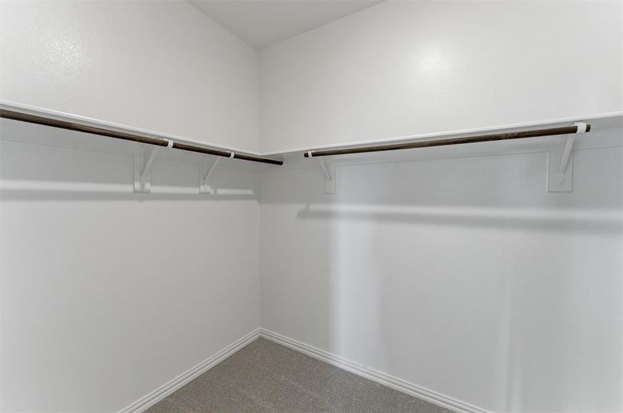Walk-in closet featuring white painted walls, white shelving, dark wood-finish hanging rods, and grey carpeting