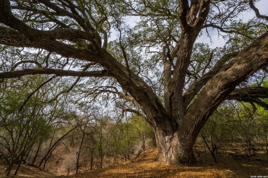 Natural landscape and outdoor views near in Crystal City (Image 30). Natural landscape and outdoor views near in Crystal City (Image 30).