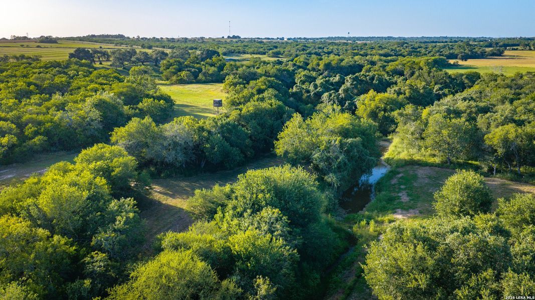 Natural landscape and outdoor views near  in Runge (Image 32).