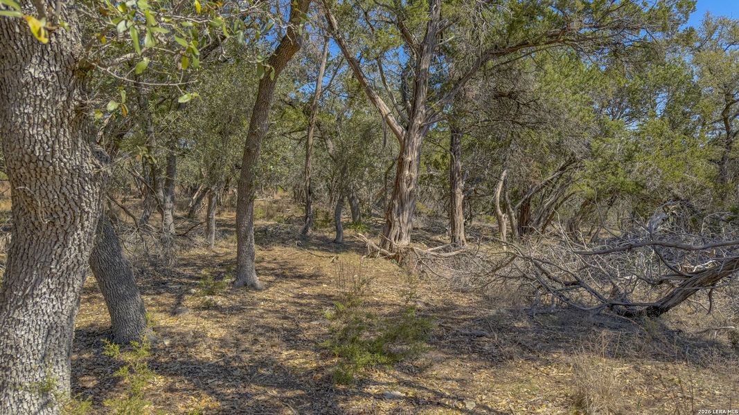 Natural landscape and outdoor views near in Canyon Lake (Image 18). Natural landscape and outdoor views near in Canyon Lake (Image 18).