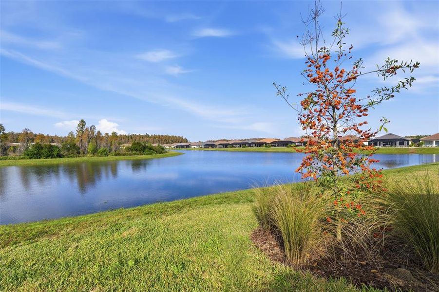 Natural landscape and outdoor views near in Wesley Chapel (Image 34). Natural landscape and outdoor views near in Wesley Chapel (Image 34).