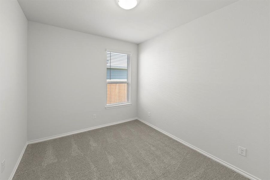 17. 3732 Honey Daisy - Bed 3