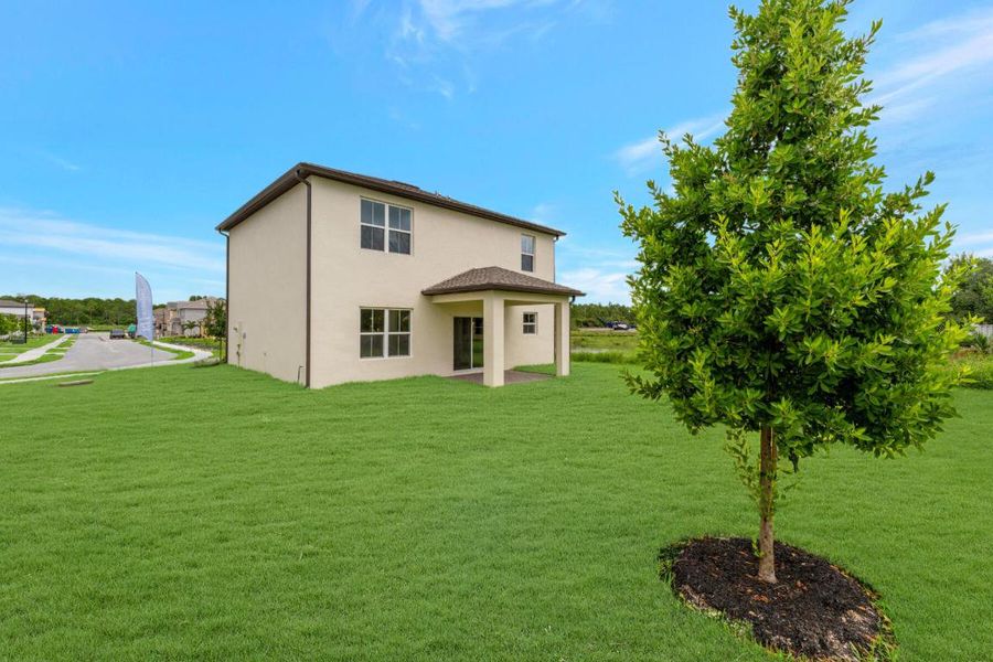 Backyard and Covered Patio