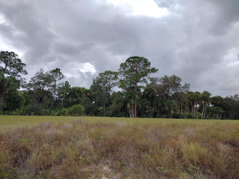 IMG_20211111_105618501