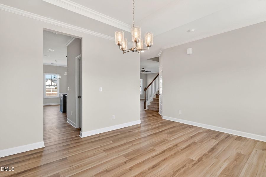 8-web-or-mls-DSC02691