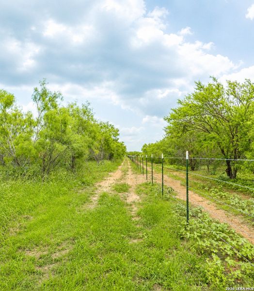 Natural landscape and outdoor views near  in Devine (Image 26).