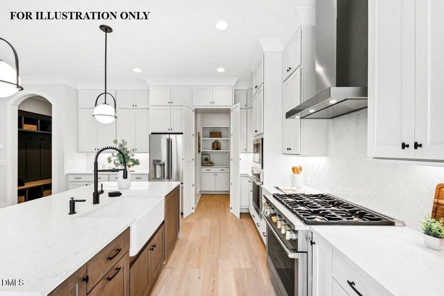 FOR ILLUSTRATION ONLY (50)